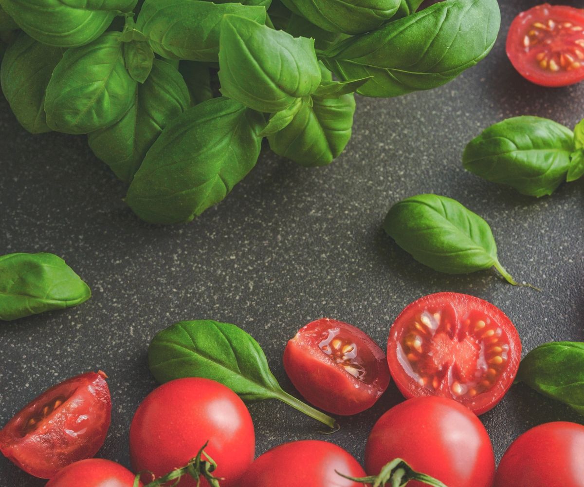 Fresh basil and tomatoes