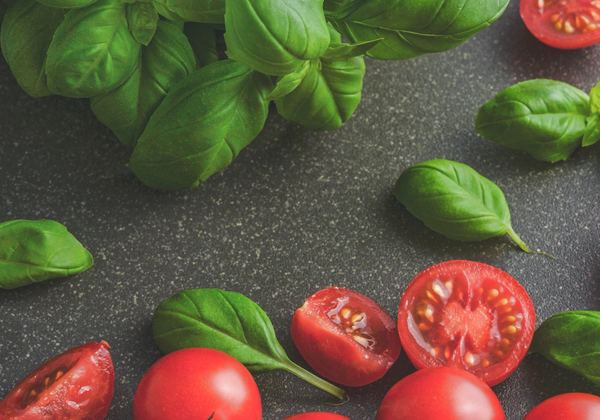 Fresh basil and tomatoes