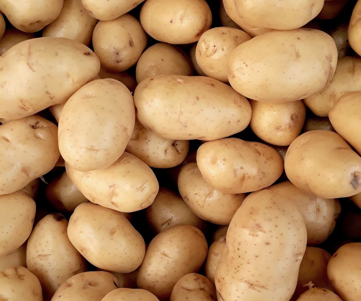 A pile of potatoes