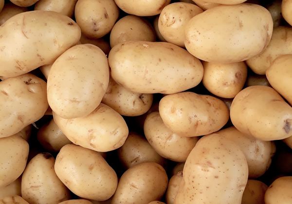A pile of potatoes