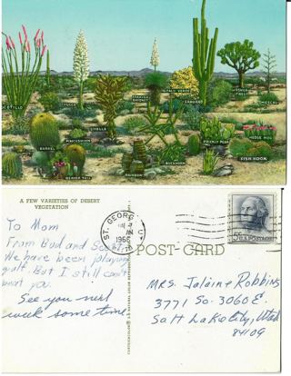 Postcard 6/7/1966