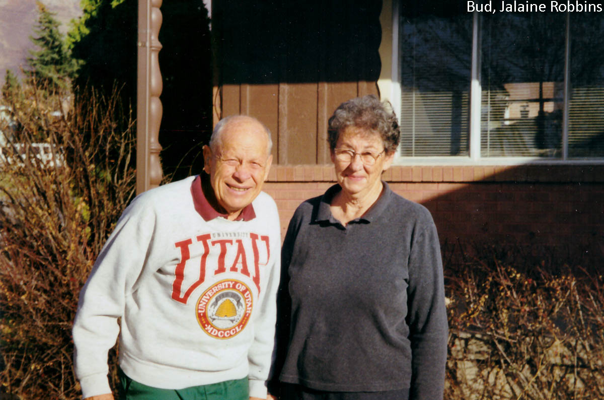 3771 S Viking Rd (3060 E), Salt Lake City