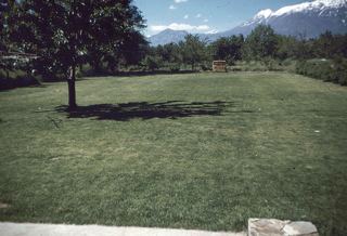 327 E 1200 S, Orem