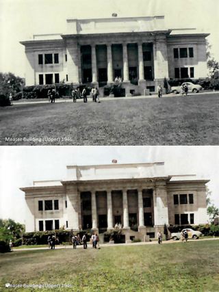Brigham Young University - Freshman