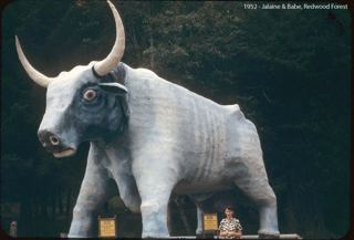 1952 Yellowstone
