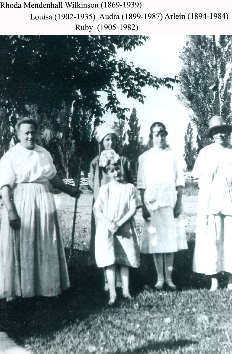 The Wilkinsons